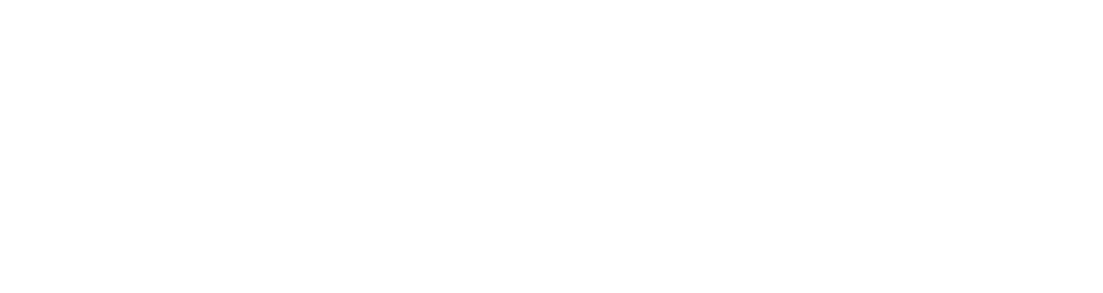 NWI ER & Hospital Logo